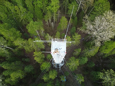 Projects of YUGU scientists were supported by the Russian Science Foundation